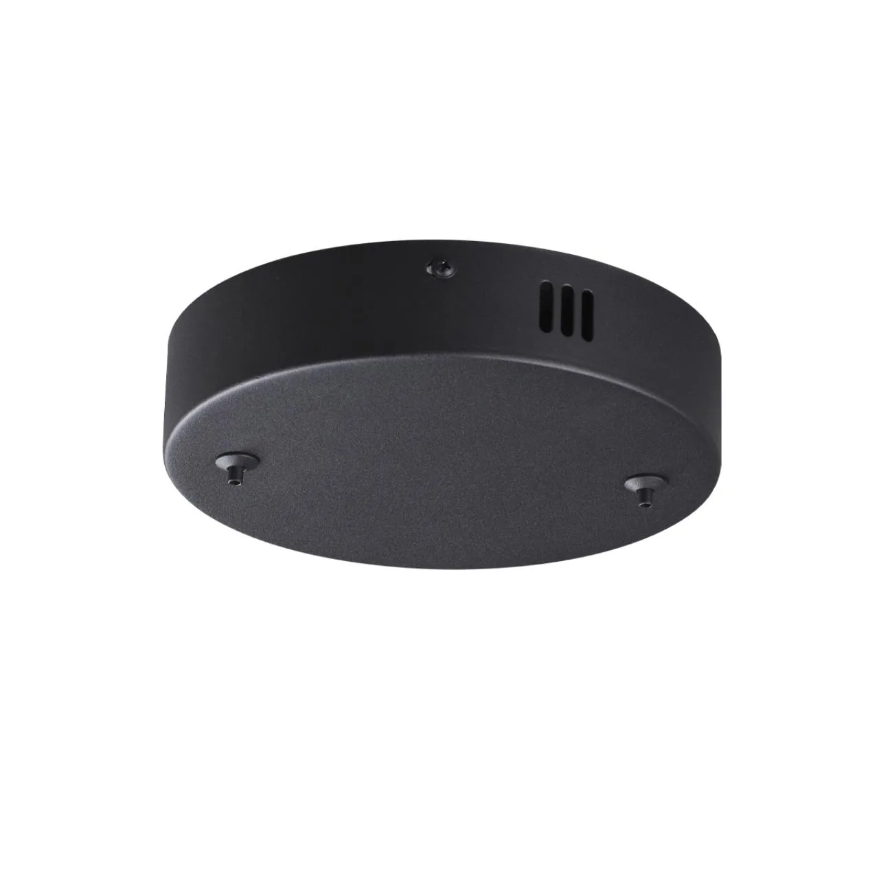 Lumion 6530/2L LEDIO LN26 262 чёрный Основание для подвеса 220V ECHO — главное фото товара