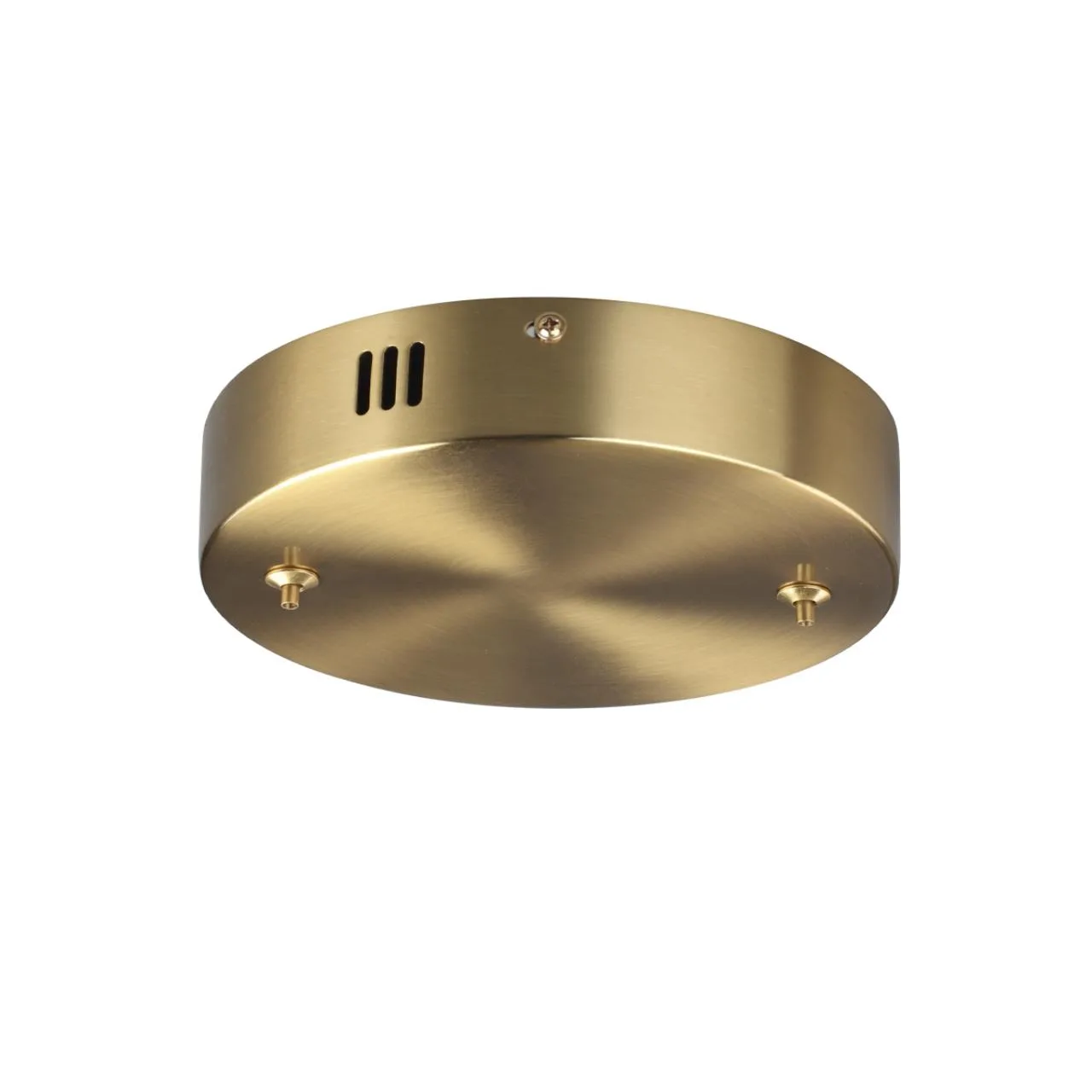 Lumion 6531/2L LEDIO LN26 263 латунь Основание для подвеса 220V ECHO — главное фото товара
