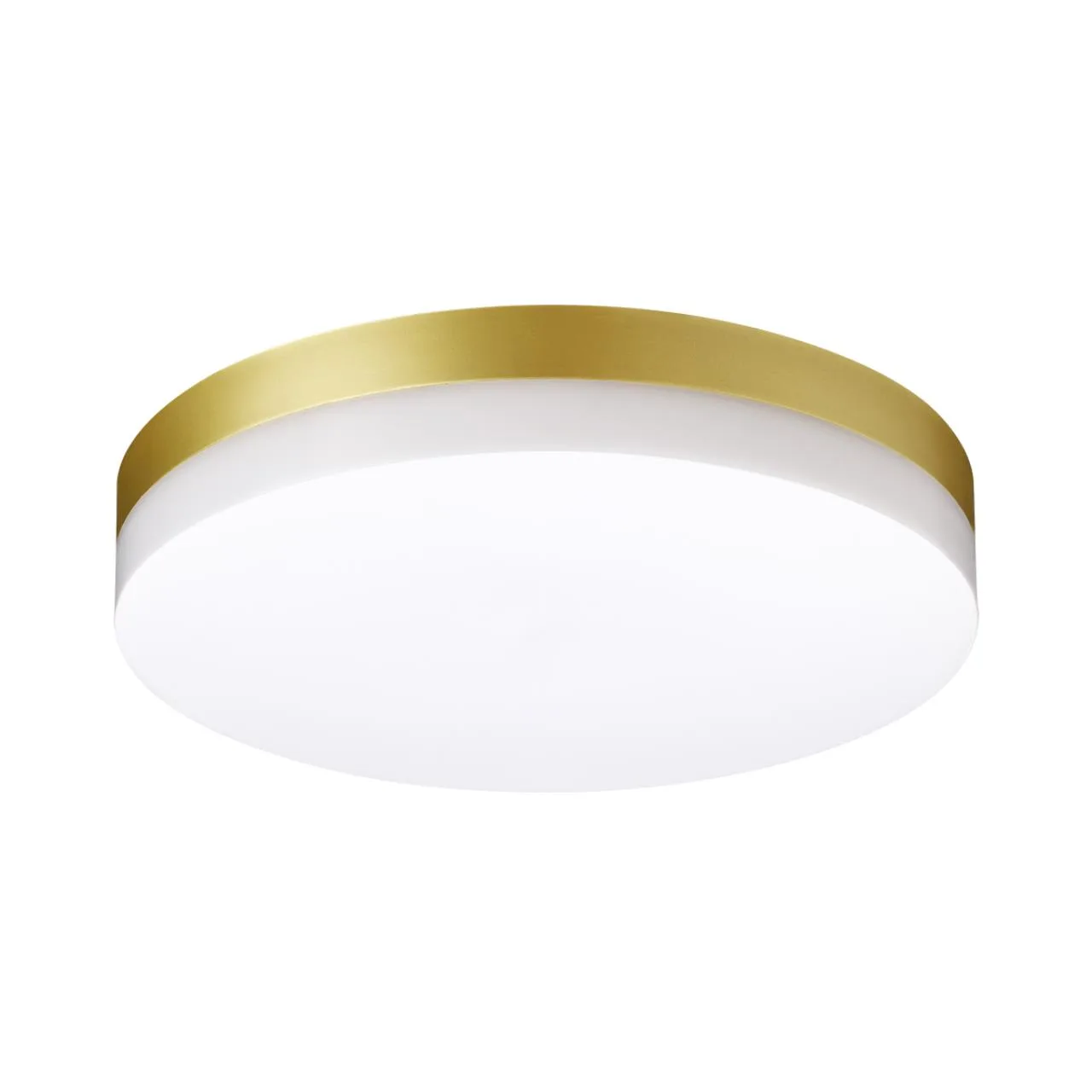 Novotech 358888 STREET NT22 782 золото Светильник ландшафтный светодиодный IP54 LED 4000К 30W 220V OPAL — главное фото товара